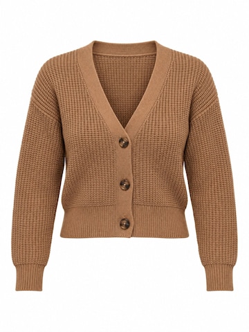 RYVAN Knit cardigan 'Strickjacken' in Brown