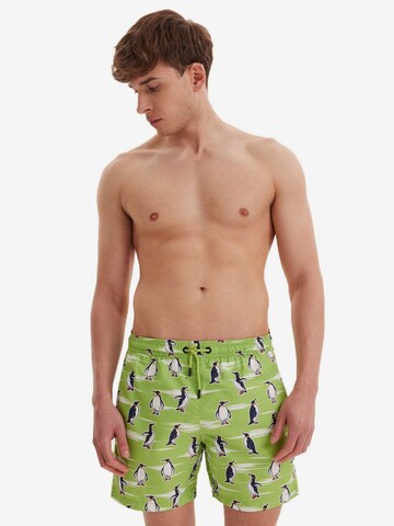 Shorts de bain WESTMARK LONDON en vert : devant