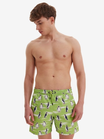 Shorts de bain WESTMARK LONDON en vert : devant