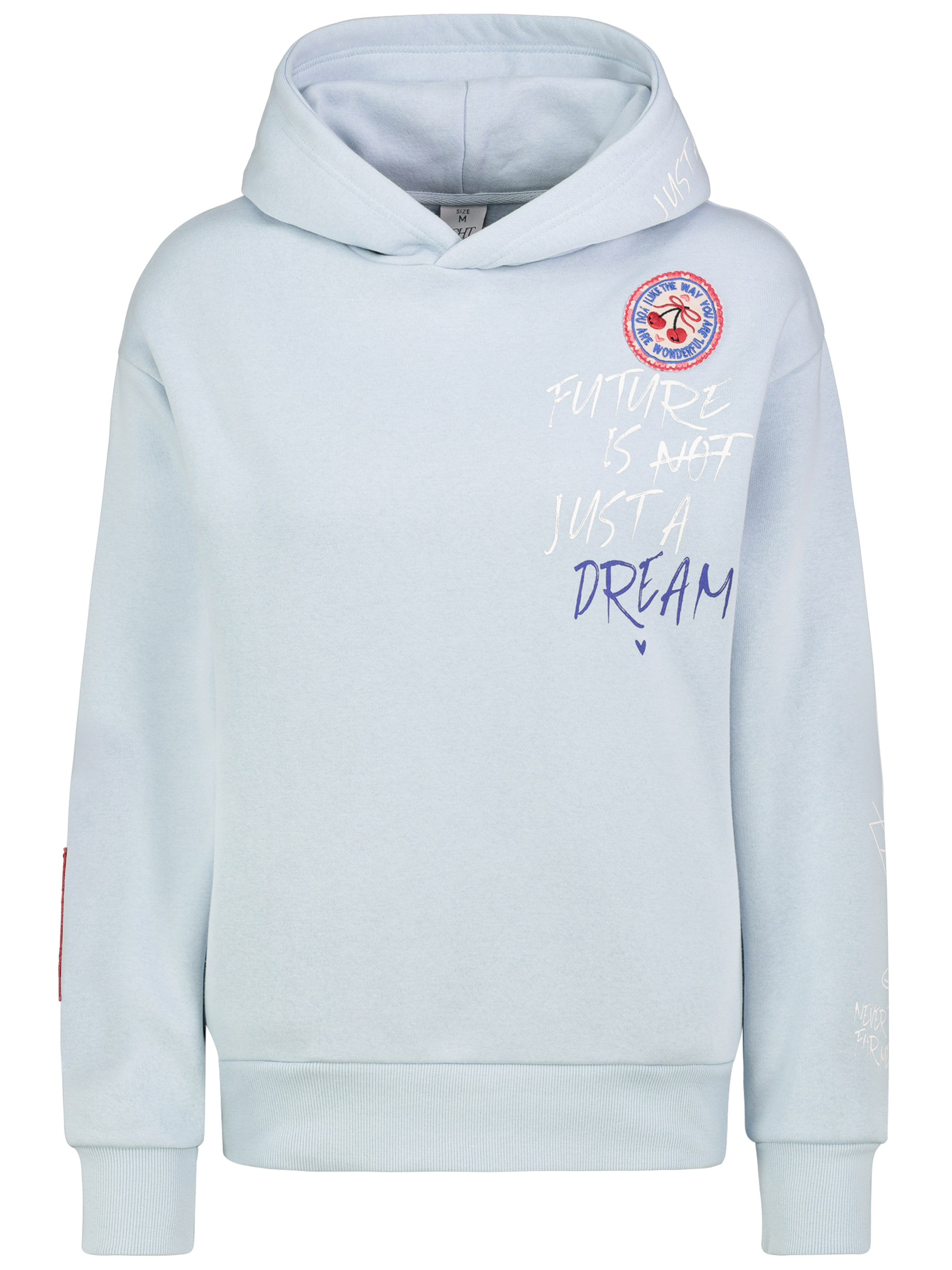 Eight2Nine Sweatshirt in Blau: Vorderseite