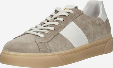 Sneaker bassa di Nero Giardini in marrone: frontale