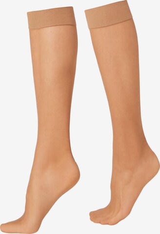 CALZEDONIA Knee High Socks in Beige: front