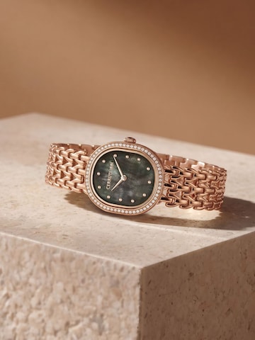 CERRUTI 1881 Analoguhr 'Watch Udine'‌‌‌‌‌‌‌‌‌‌ in Gold