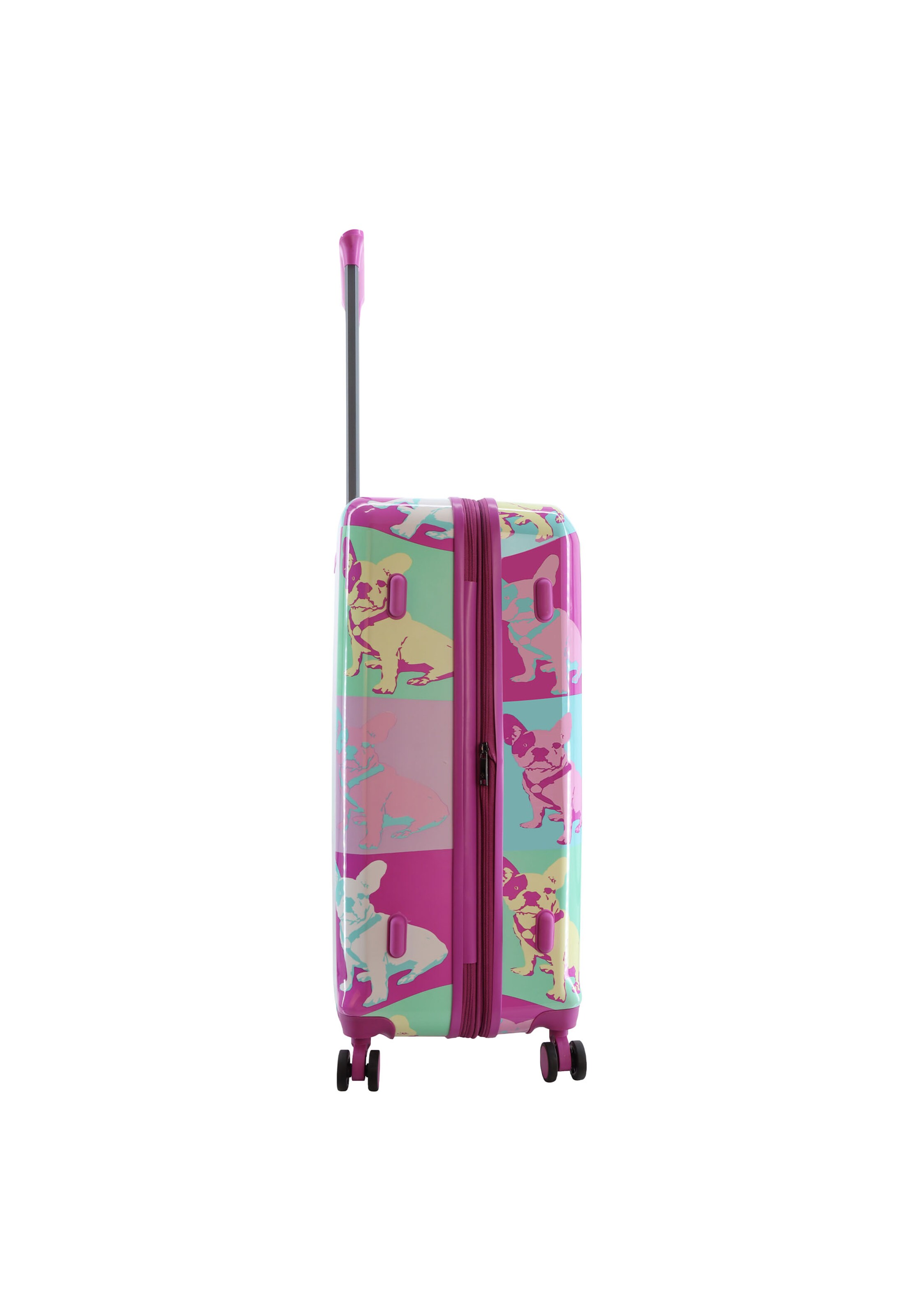 Saxoline Blue Suitcase in Mixed colors