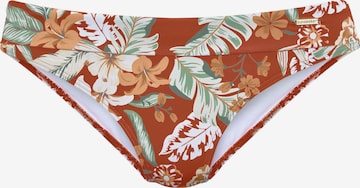 SUNSEEKER Bikini Bottoms in Orange: front