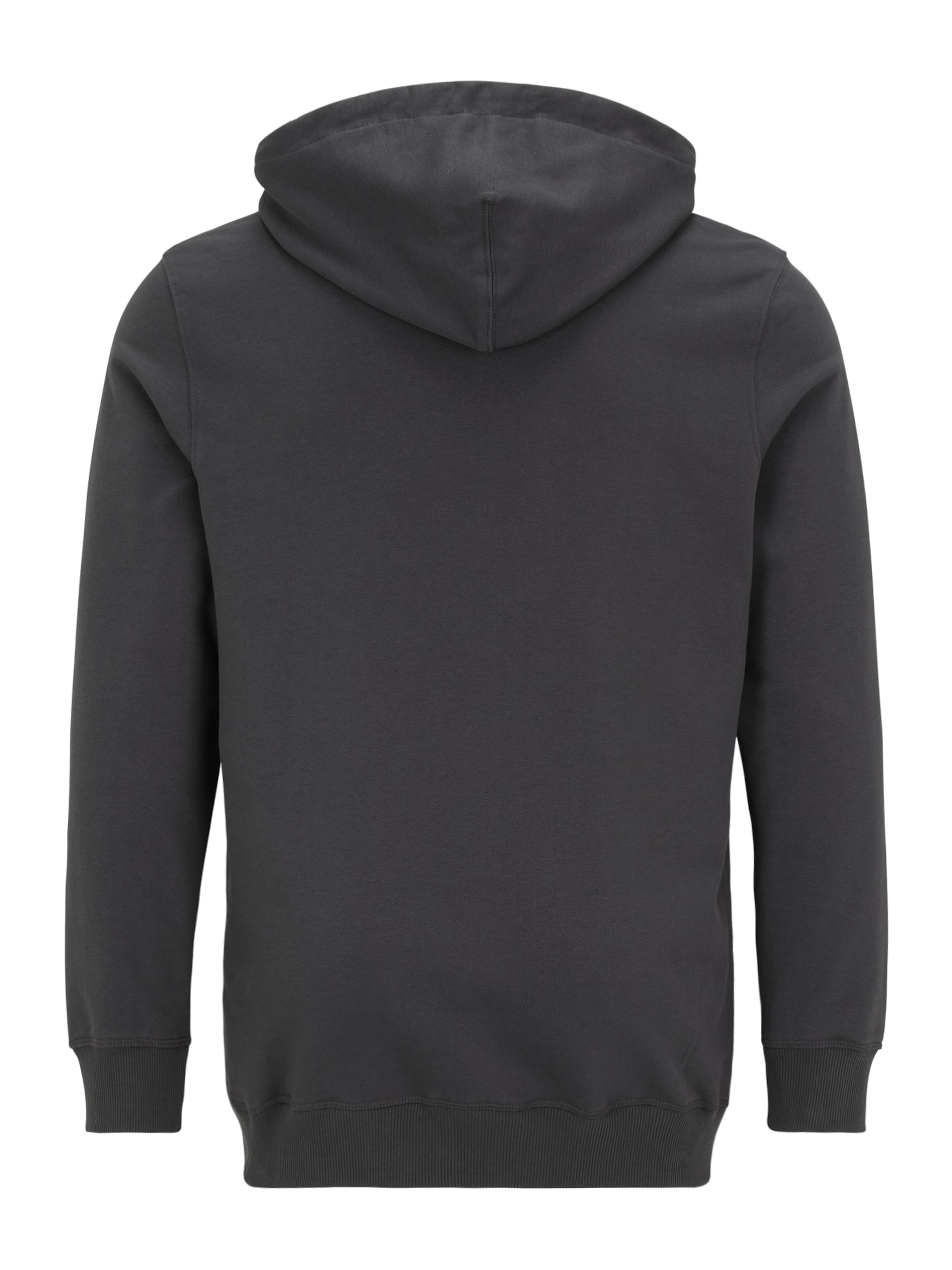 Jack & Jones Plus Sweatshirt 'JORNORREBRO' in Grey