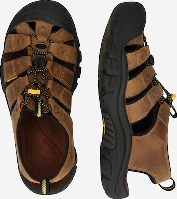 KEEN Sandals 'Newport' in Brown