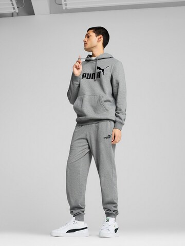 PUMA Спортивный свитшот 'ESS No. 1' в Серый