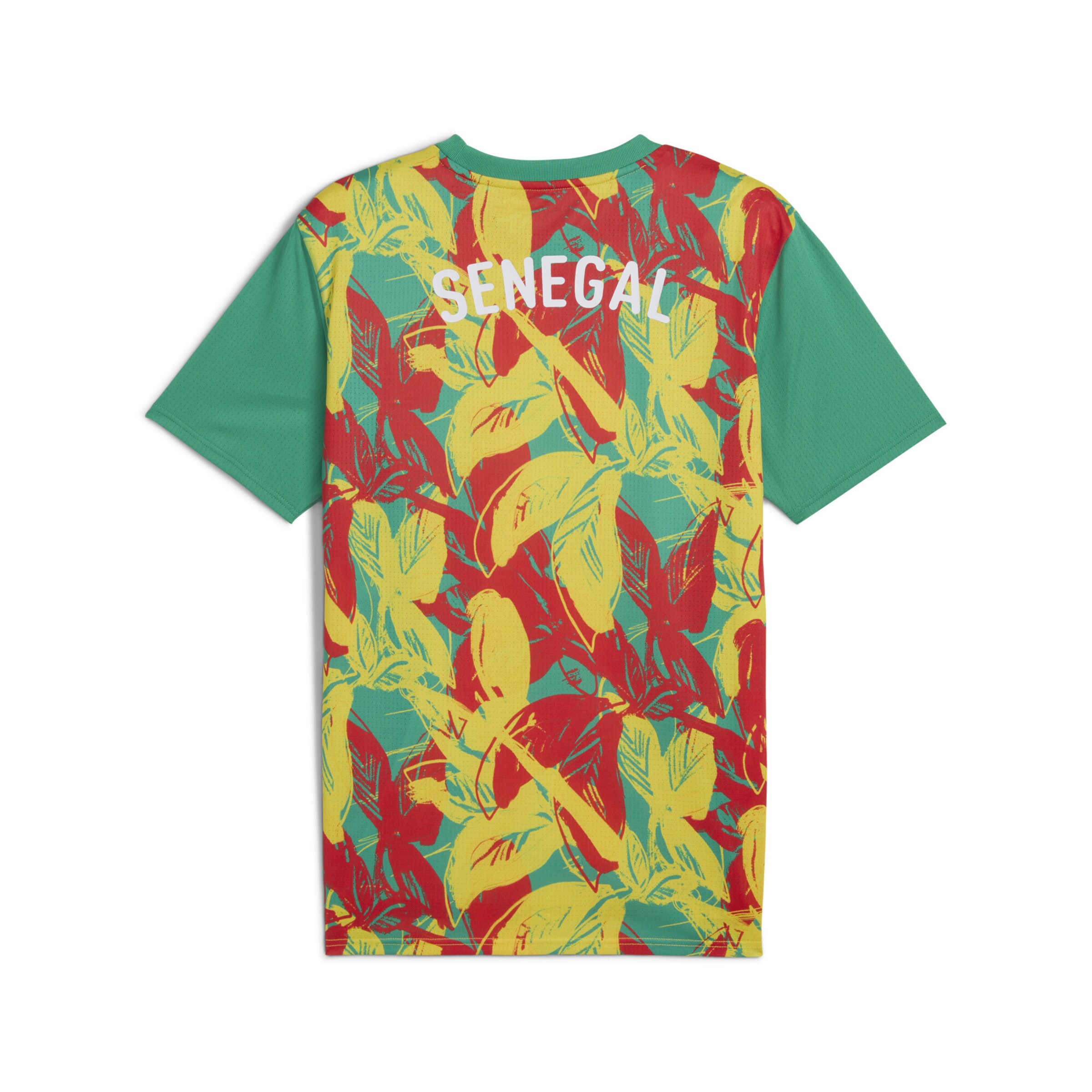 PUMA Trikot 'Senegal 2025 ' in Grün