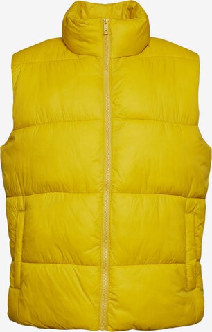 ESPRIT Bodywarmer in Geel: voorkant