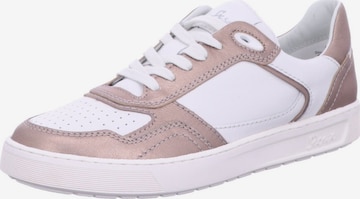 Baskets basses 'Schnürschuh Damen 404 01 Echtleder in bunt' SIOUX en mélange de couleurs : devant