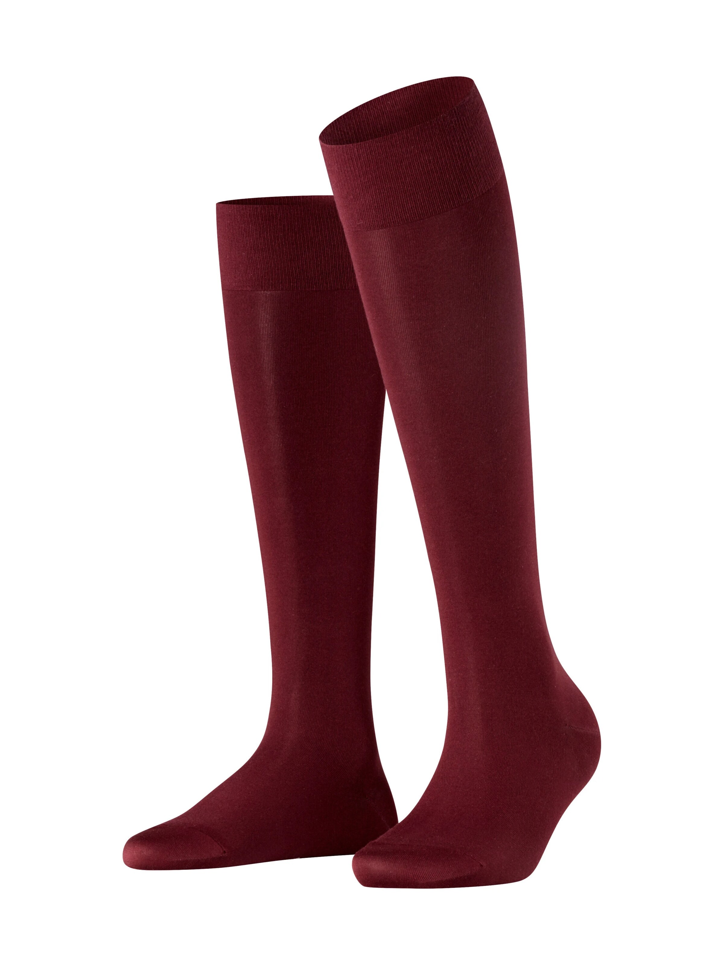 FALKE Kniestrümpfe 'Cotton Touch'‌‌‌‌‌‌‌‌‌‌ in Rot: Vorderseite