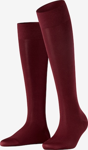 FALKE Kniestrümpfe 'Cotton Touch' in Rot: Vorderseite