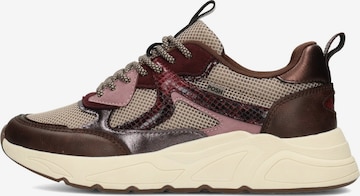 POSH by Poelman Sneakers laag in Bruin: voorkant