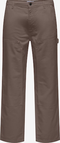 Only & Sons Loosefit Housut 'ONSFADE' värissä ruskea: etupuoli