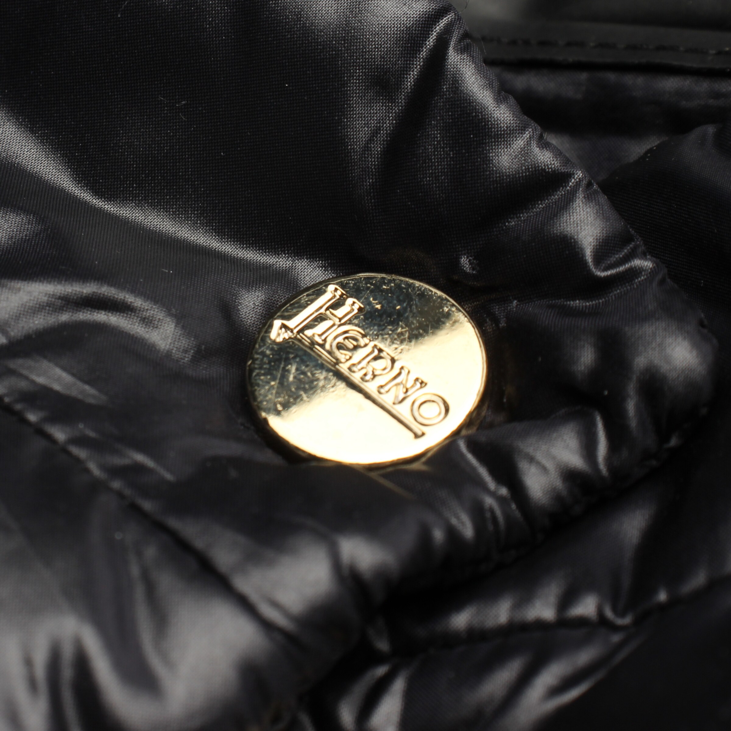 Herno Jacket & Coat in S in Black