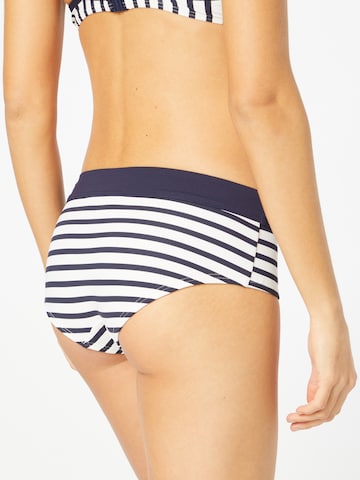 ESPRIT Bikini Bottoms in Blue