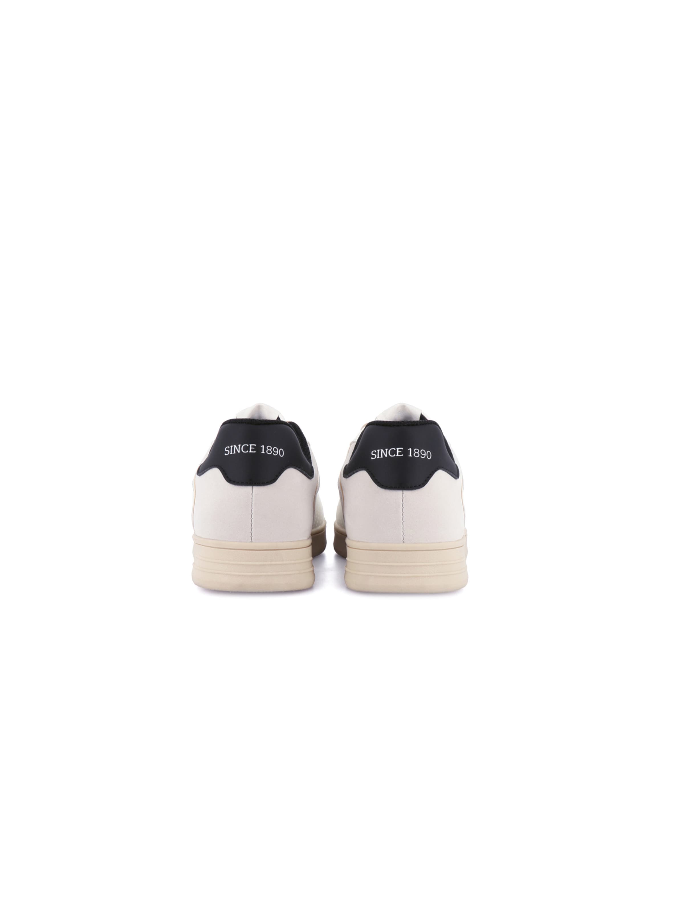 Baskets basses 'Alpha' US POLO ASSN. en blanc