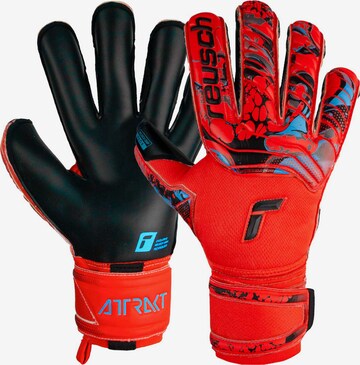 REUSCH Athletic Gloves 'Attrakt Gold X Evolution' in Red: front