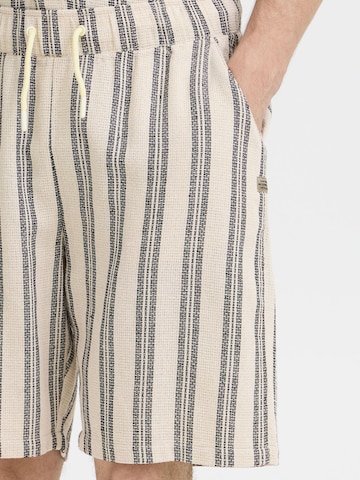 BLEND Regular Hose 'BHMorgan' in Beige