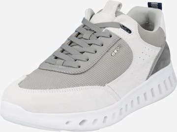GEOX Sneakers 'Outstream' in Grey: front