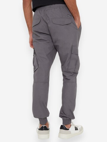 Threadbare Slimfit lange Cargohose 'Prince' in Grau
