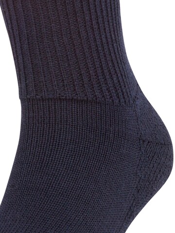 FALKE Socks 'Walkie Ergo' in Blue