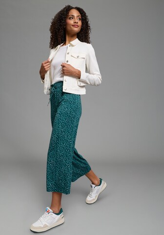 KangaROOS Regular Pants in Green