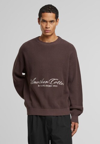 Another Cotton Lab Pullover in Braun: Vorderseite
