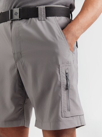 COLUMBIAregular Hlače za vanjske uvjete 'Silver Ridge™' - siva boja