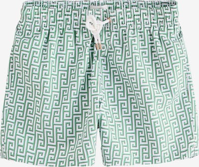 Next Kupaće hlače u zelena / bijela, Pregled proizvoda