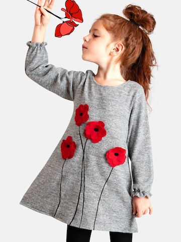 Robe 'Poppy' Denokids en gris : devant