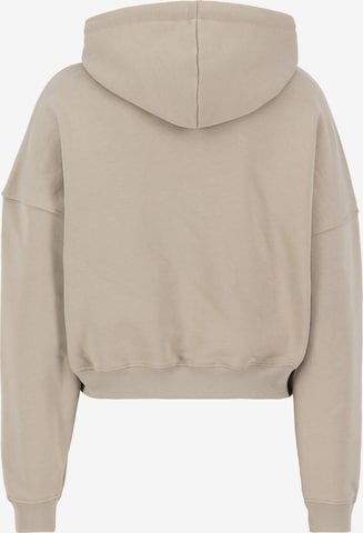 ALPHA INDUSTRIES Sweatshirt 'Essentials' i beige