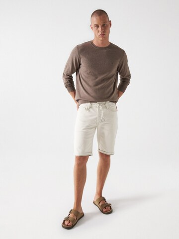 Salsa Jeans Pullover in Braun