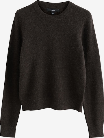 Next Свитер в Коричневый: спереди