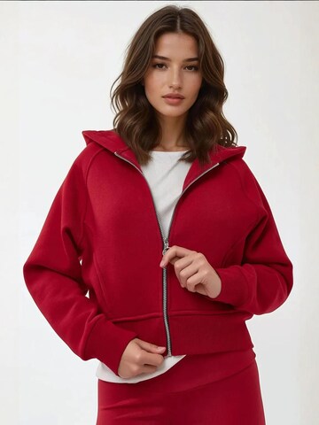 Hiccup Zip-Up Hoodie in Red: front