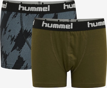 Hummel Unterhose 'Nolan' in Grün: predná strana