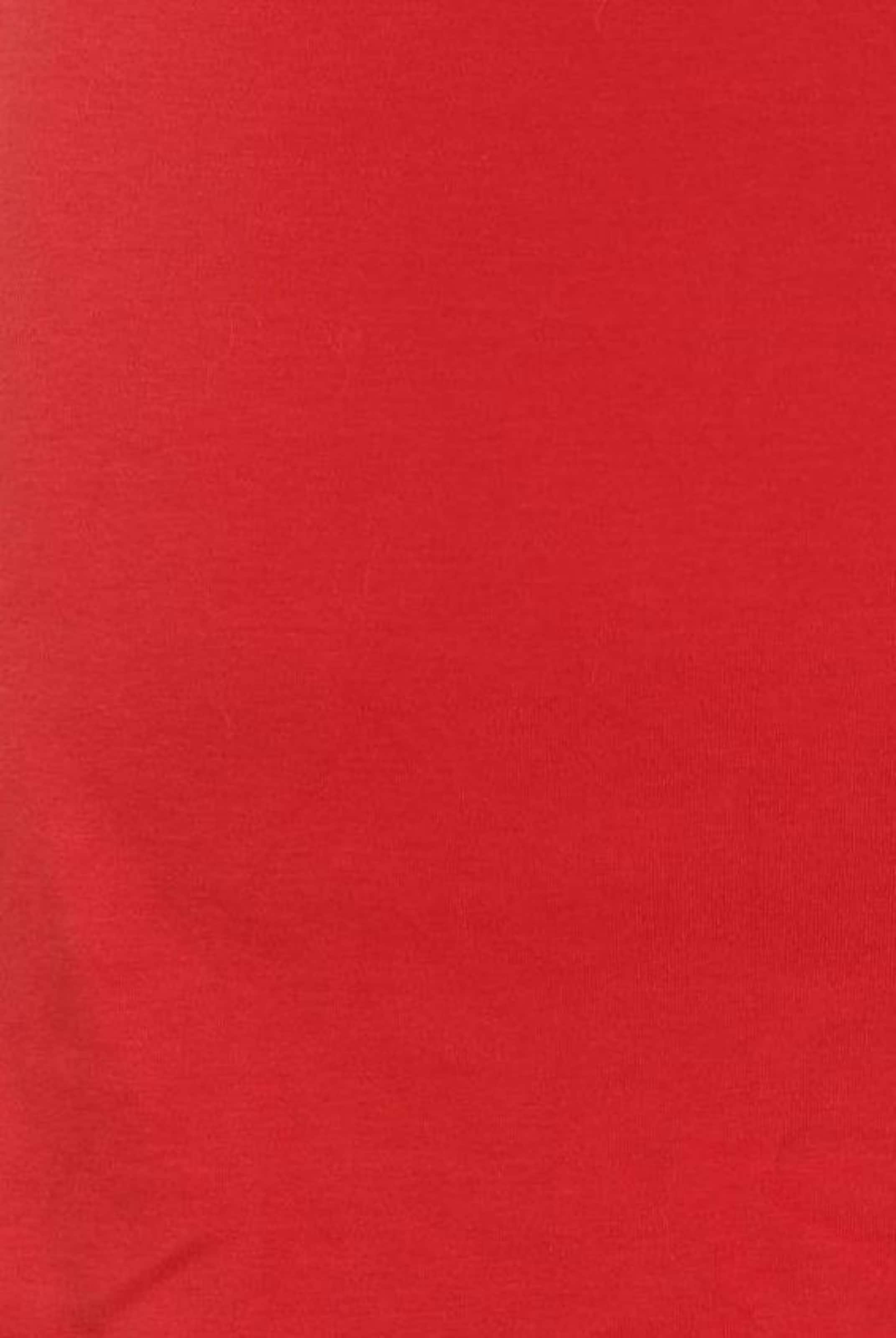 ARMEDANGELS Skirt in S in Red