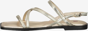 Högl Strap Sandals 'Sandy' in Gold
