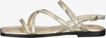 Högl Sandalen met riem 'Sandy' in Goud