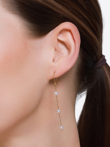 Heideman Oorbellen in Goud