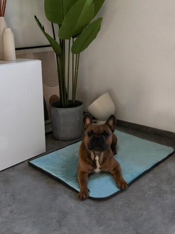 Aspero Pet accessories 'Hanko und Lund' in Blue