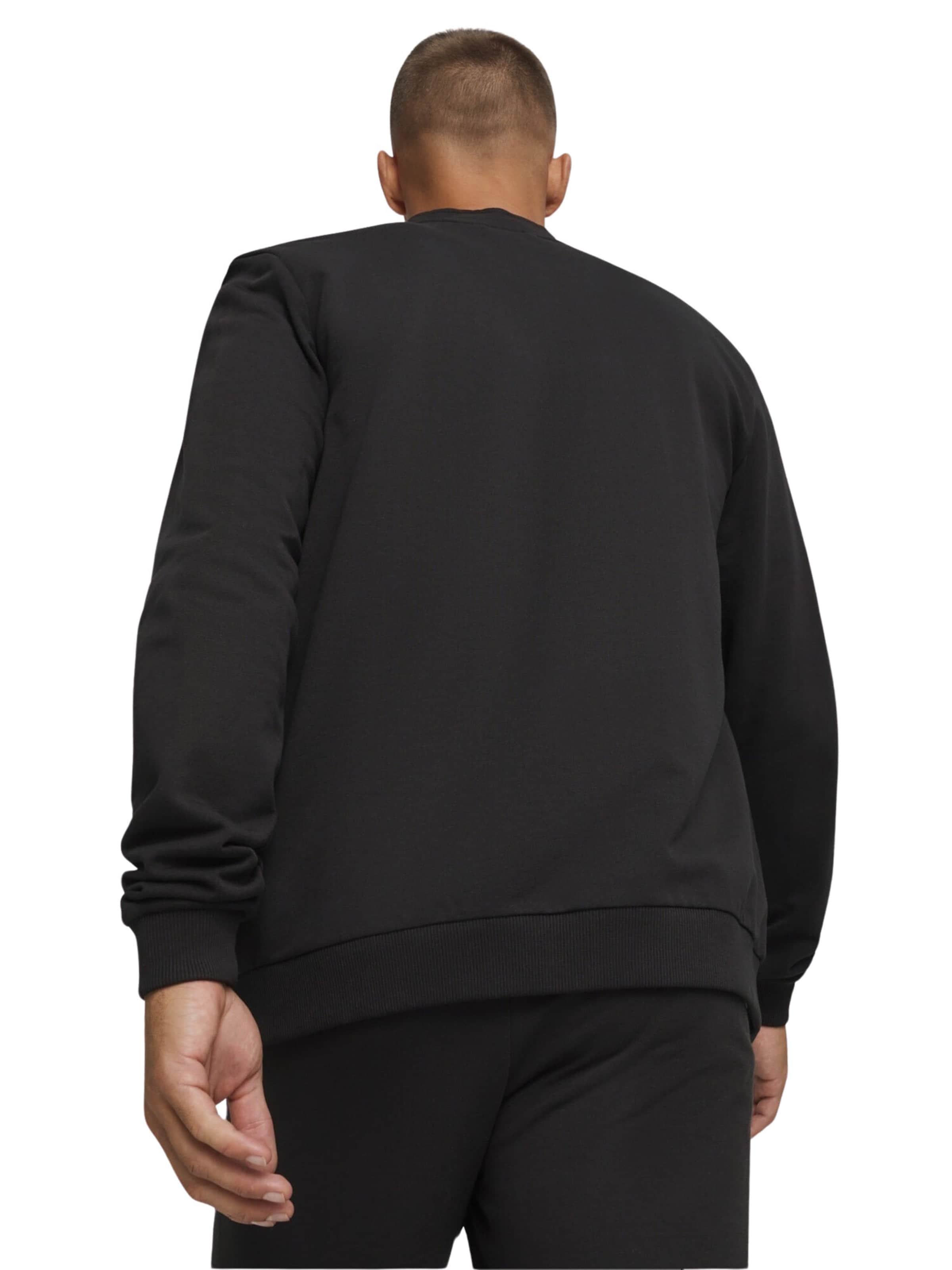 Veste outdoor 'TeamGoal' PUMA en noir