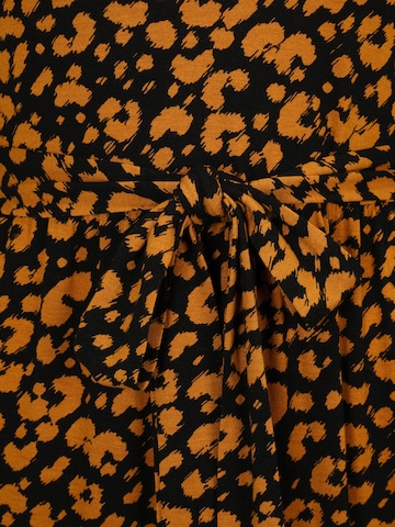 Dorothy Perkins Tall Kleid in Orange