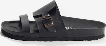 Bayton Muiltjes 'HOCKNEY' in Zwart: voorkant