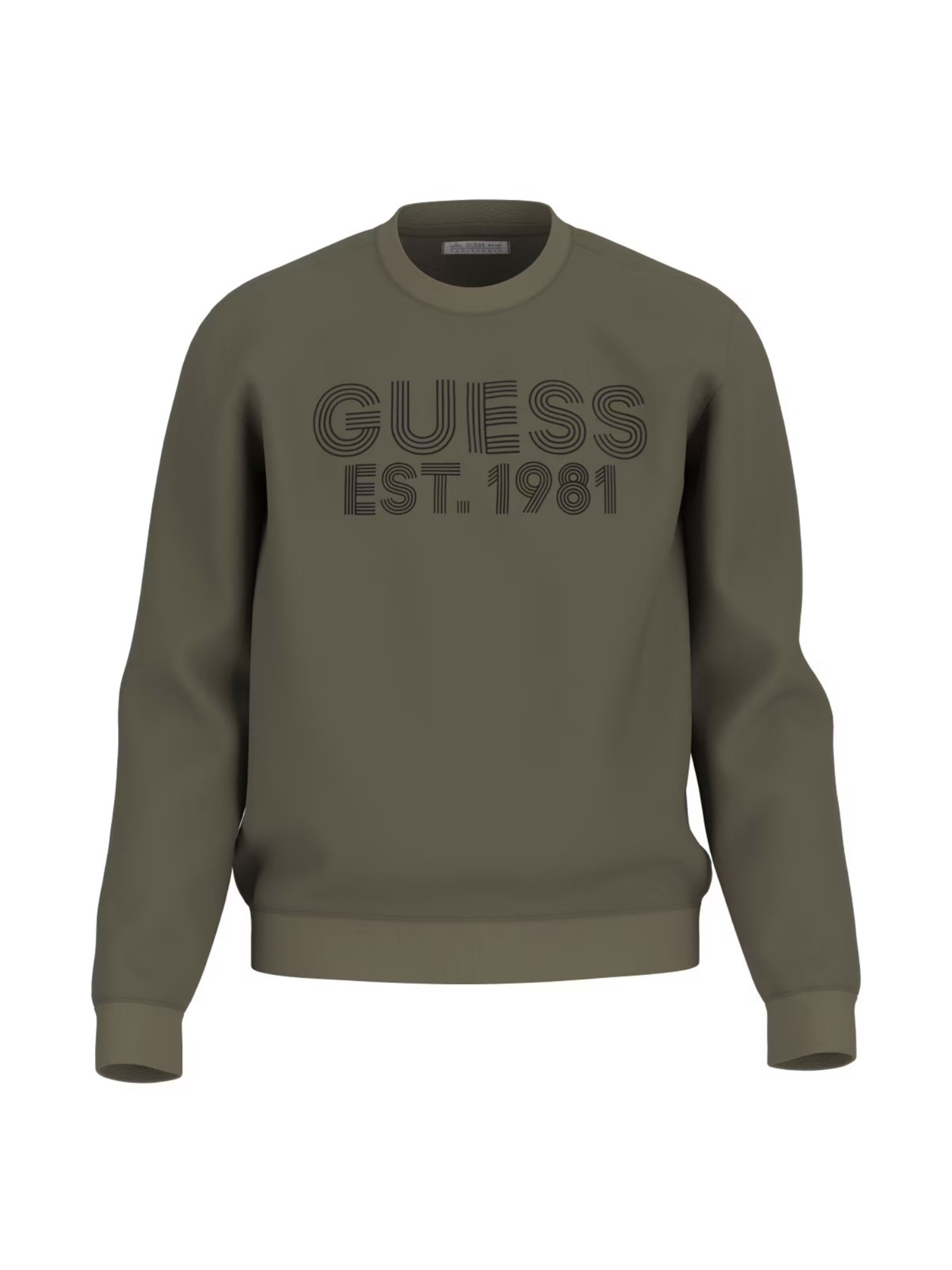 Sweat-shirt 'BEAU' GUESS en vert : devant