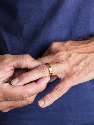 Akitsune Ring 'Purus' in Gold