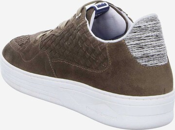 Floris van Bommel Sneaker in Braun