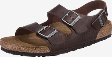 BIRKENSTOCK Sandals 'Milano' in Brown: front