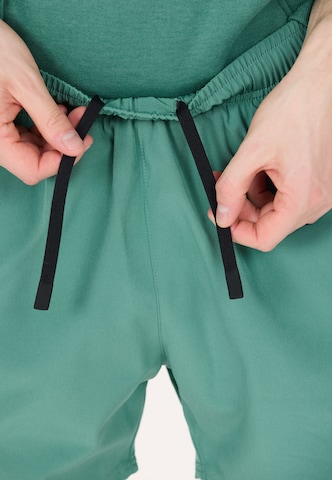 Virtus Regular Shorts 'Zayne' in Grün